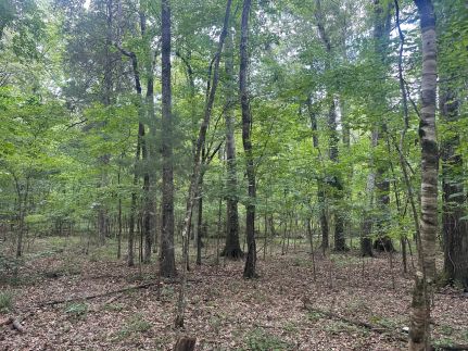 Property for sale in Hinds County, Mississippi