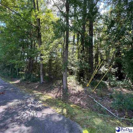 Property in Darlington County, South Carolina