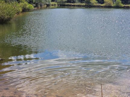 Property for sale in Greenbrier County, West Virginia