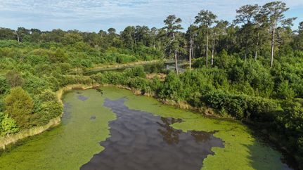 Property for sale in Crenshaw County, Alabama