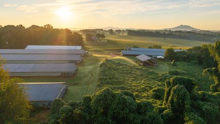 Property for sale in Surry County, North Carolina