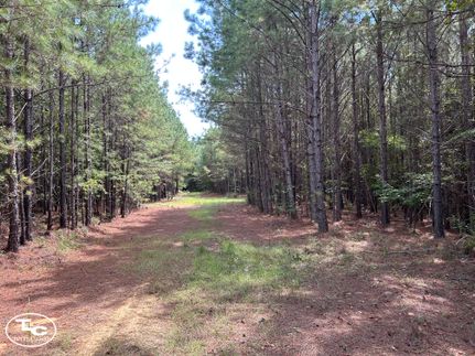 Recreational Property for sale in Fayette County, Alabama