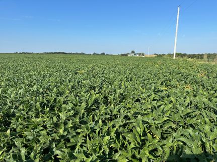 Property for sale in Keokuk County, Iowa