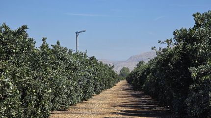 Property for sale in Fresno County, California