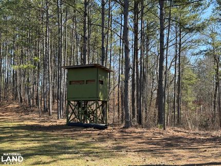 Property for sale in Lamar County, Alabama