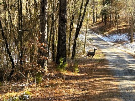 Property for sale in Meigs County, Tennessee