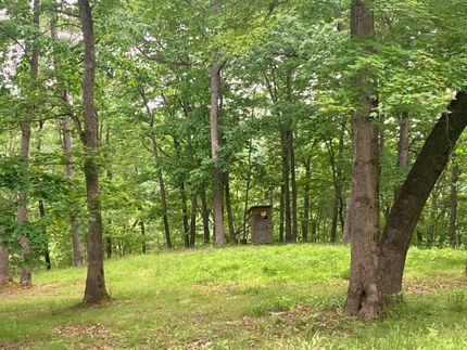 Property for sale in Braxton County, West Virginia