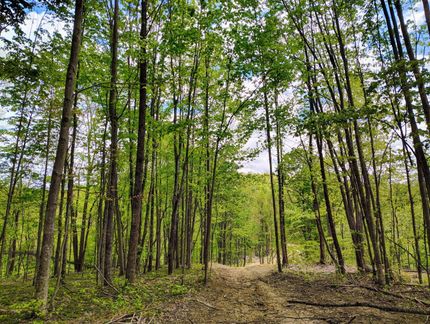 Property for sale in Kanawha County, West Virginia