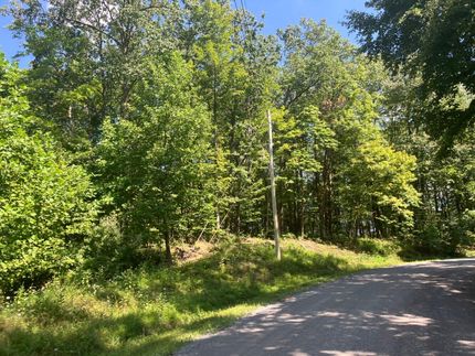 Property for sale in Nicholas County, West Virginia