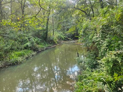 Property for sale in Covington County, Mississippi