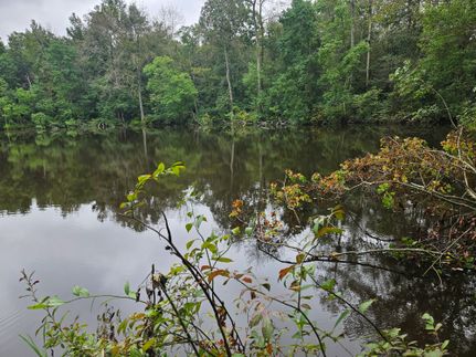 Waterfront Property for sale in Covington County, Mississippi