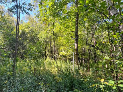 Undeveloped Land for sale in Saint Lawrence County, New York