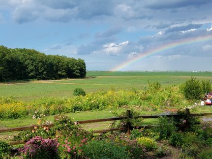 Property in Mason County, Illinois