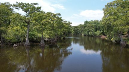 Property for sale in Saint Landry Parish, Louisiana