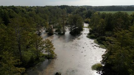 Property for sale in Gibson County, Tennessee