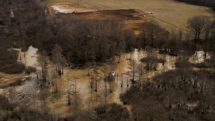 Hunting Land for sale in Gibson County, Tennessee