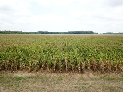 Property for sale in West Carroll Parish, Louisiana