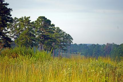 Property for sale in Leon County, Texas