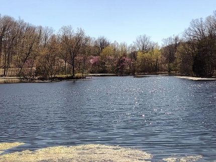 Property for sale in Webster County, Missouri