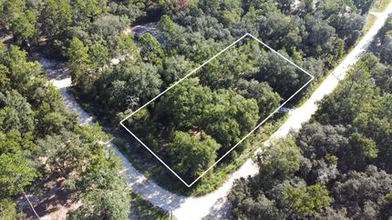 Undeveloped Land for sale in Levy County, Florida