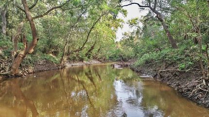 Waterfront Property for sale in Jackson County, Texas