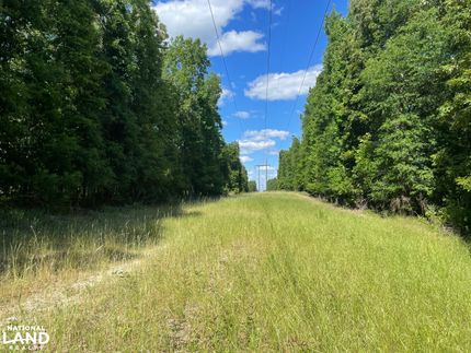 Timberland Property for sale in Choctaw County, Alabama