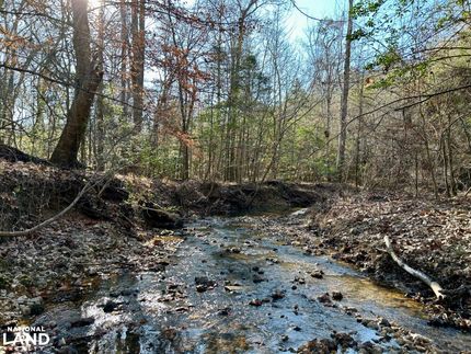 Property for sale in Choctaw County, Alabama