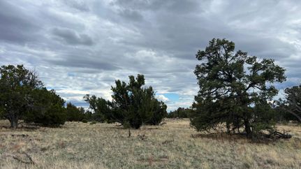 Property for sale in Catron County, New Mexico