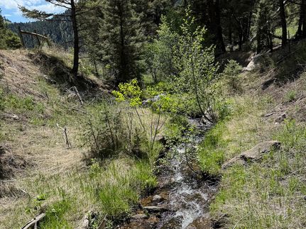 Property for sale in Jefferson County, Montana