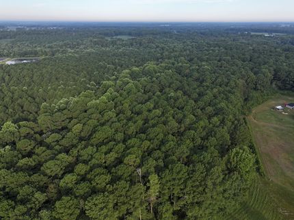 Property for sale in Greene County, North Carolina