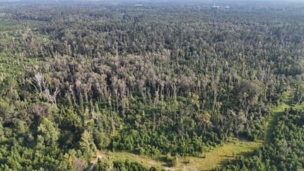 Recreational Property for sale in Vernon Parish, Louisiana