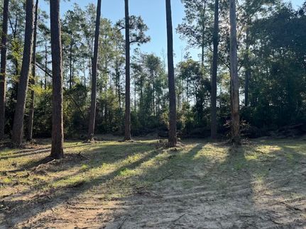 Property for sale in Vernon Parish, Louisiana