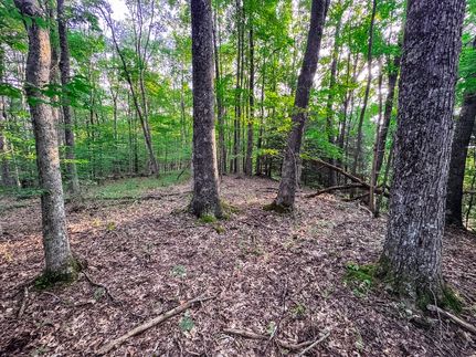 Property for sale in Webster County, West Virginia