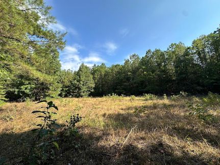 Hunting Land for sale in Lowndes County, Alabama