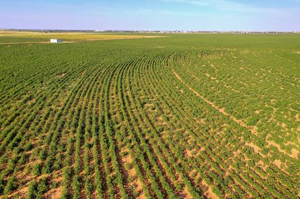 Property for sale in Lubbock County, Texas