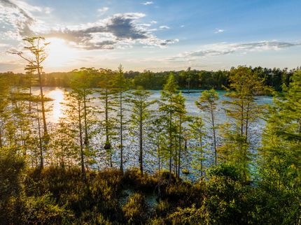 Property for sale in Geneva County, Alabama