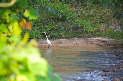 Farm Property for sale in Hardeman County, Tennessee