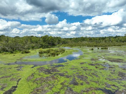 Property for sale in Hardeman County, Tennessee