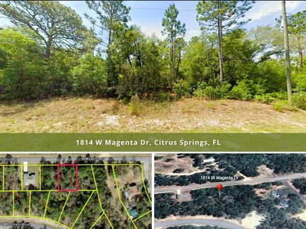 Property in Citrus County, Florida