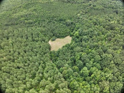 Timberland Property for sale in Hardeman County, Tennessee