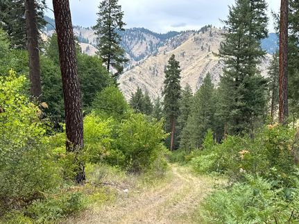 Hunting Land for sale in Canyon County, Idaho