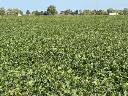 Property for sale in McLean County, Illinois