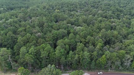 Property for sale in Tyler County, Texas