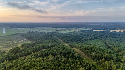 Hunting Land for sale in Newton County, Mississippi