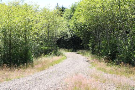 Timberland Property for sale in Grays Harbor County, Washington