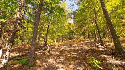 Property in Pike County, Ohio