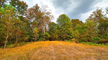 Property for sale in Scioto County, Ohio