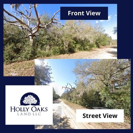 Undeveloped Land for sale in Putnam County, Florida