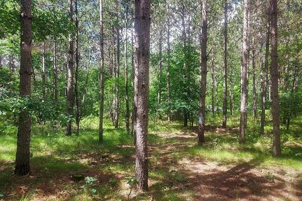 Property for sale in Juneau County, Wisconsin