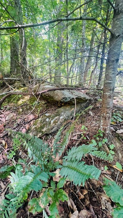 Undeveloped Land for sale in Carroll County, Virginia